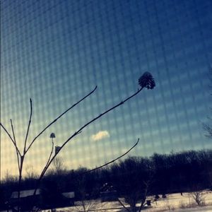 Meet your Posher, Amaya